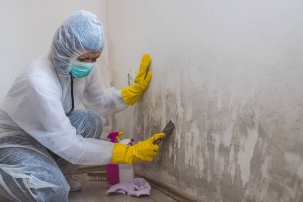 Best Bathroom Mold Remediation in Newark, TX