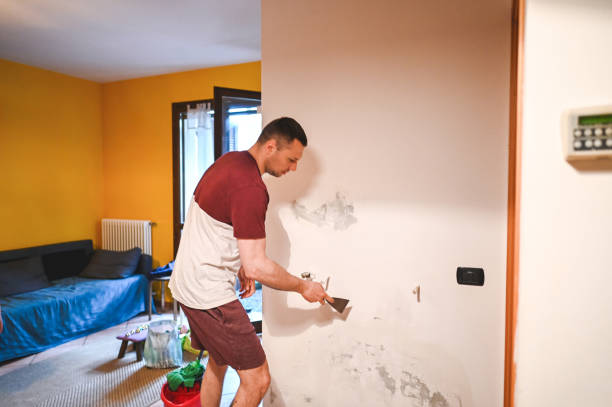 Best Basement Mold Remediation in Newark, TX