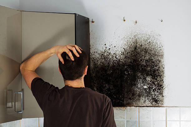 Best Preventive Mold Services in Newark, TX